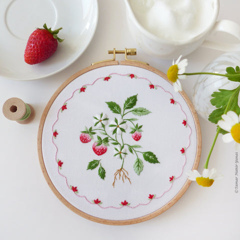 Strawberry Cake ערכת רקמה 21 ס"מ