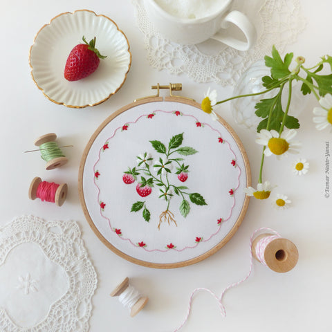 Strawberry Cake ערכת רקמה 21 ס"מ